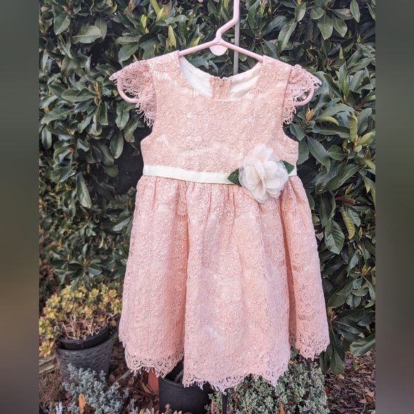 Rare Editions Cap Sleeve Pink Lace Dress Size 24 mos - Picture 10 of 10